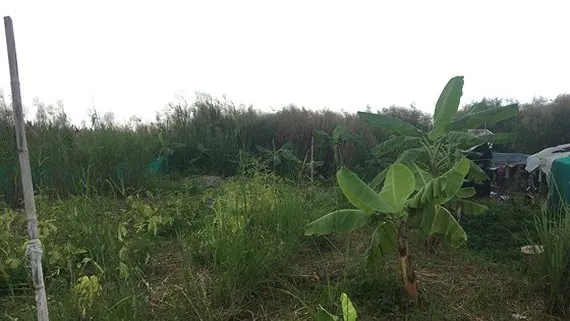 Thanh tra dự án Khu công nghiệp Phong Phú