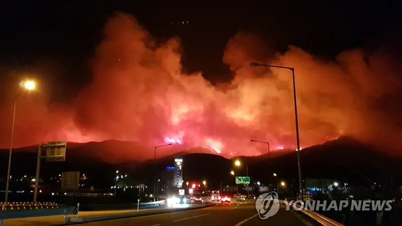 Ngọn lửa bao trùm vùng núi Gangneung ngày 5-4. YONHAP