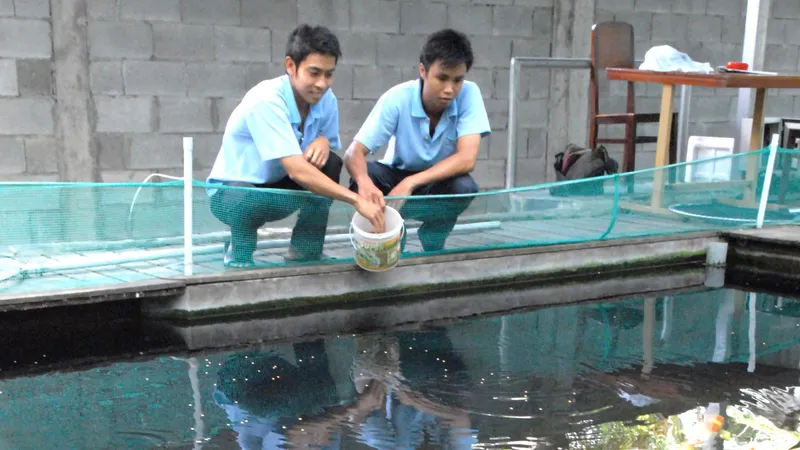 Nâng cao hiệu quả sử dụng đất
