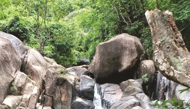 Lục bát hai câu về Tam Đảo