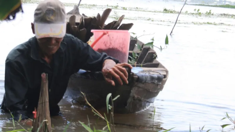 Mạo nhận đặc sản mùa nước nổi