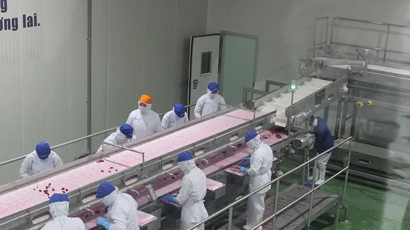  Gia tăng sản phẩm có giá trị thương mại lớn sang EU