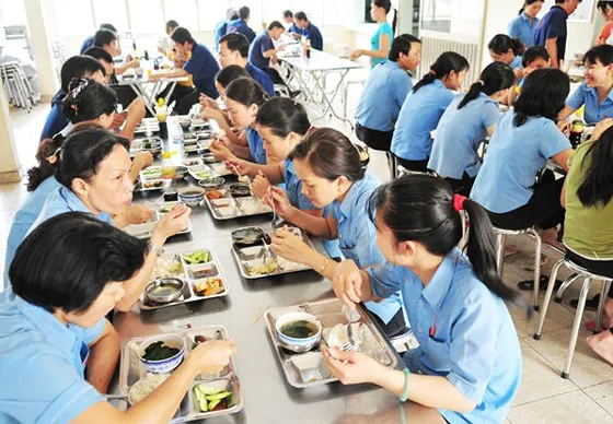 Nhập cuộc với thực tế