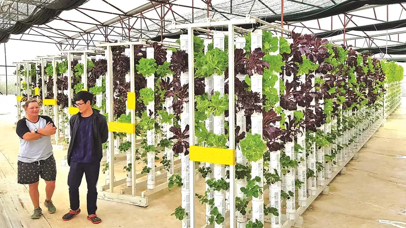 Bây giờ người dân dư sức tạo những dòng nông sản chất lượng cao