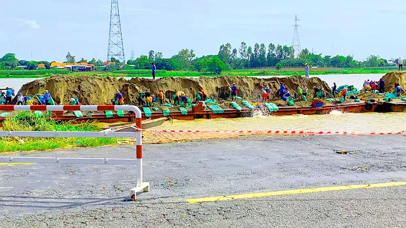 ĐBSCL chật vật chống sạt lở