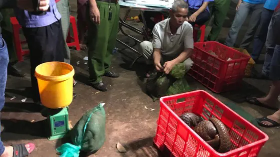 Công khai bán sản vật từ động vật quý hiếm