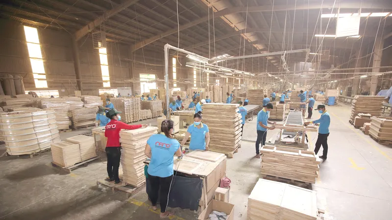 Ngăn chặn gian lận thương mại trong xuất khẩu gỗ