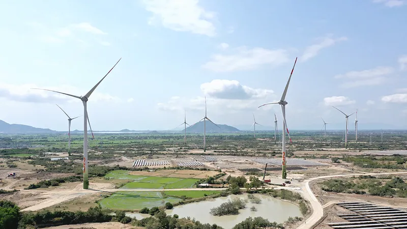 Ninh Thuận kêu khổ vì dư điện