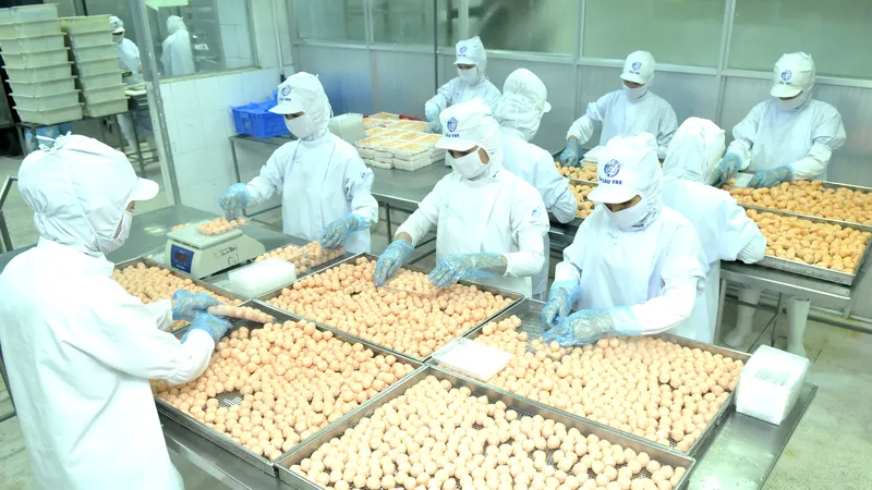 Thu hút vốn FDI vào công nghiệp chế biến