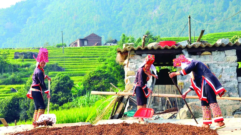 Đường lên mốc biên giới Bình Liêu. Ảnh: TRẦN THẾ DŨNG