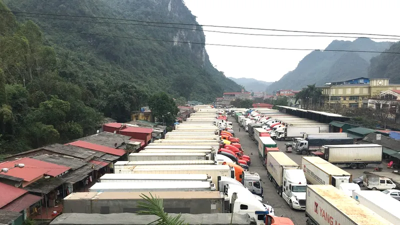 Không để trái cây, nông sản ùn ứ sát tết