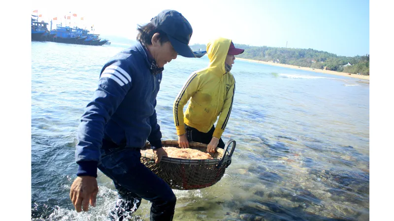 Chộn rộn mùa ruốc 