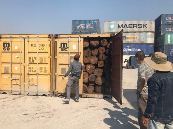 Phát hiện hàng trăm container gỗ xuất khẩu trốn thuế