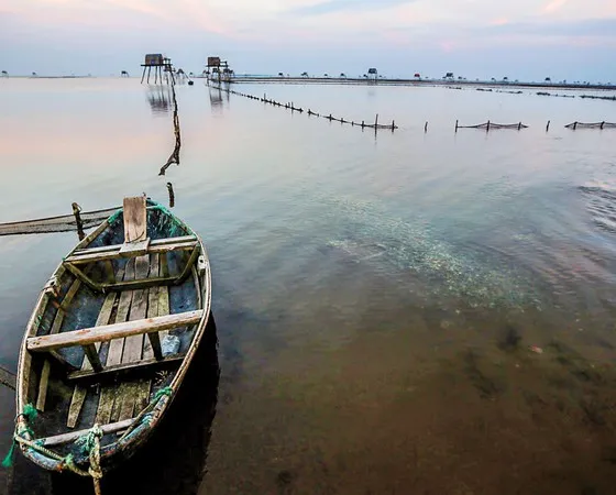 Thái Bình trong tôi…