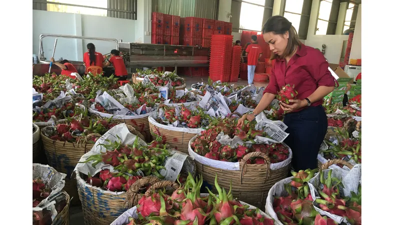 Tìm thị trường tiêu thụ nông - thủy sản