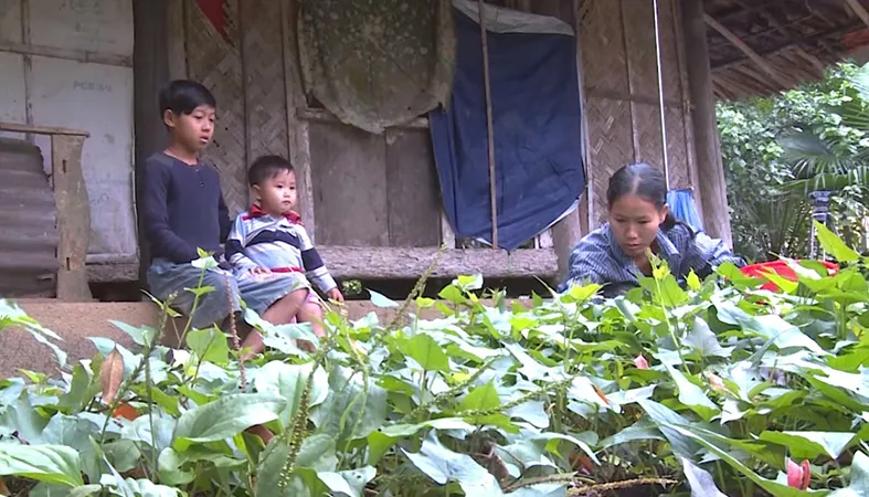 Hai mẹ con nghèo, bệnh nặng