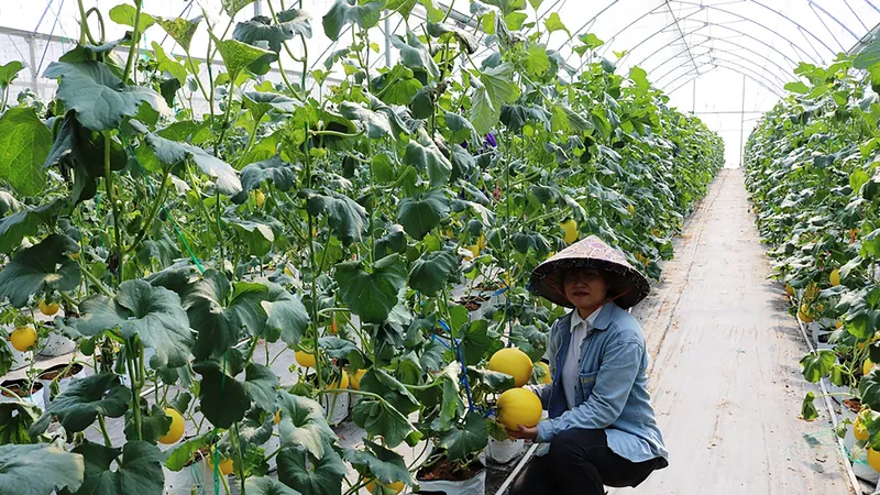 Điểm đến hấp dẫn nhà đầu tư