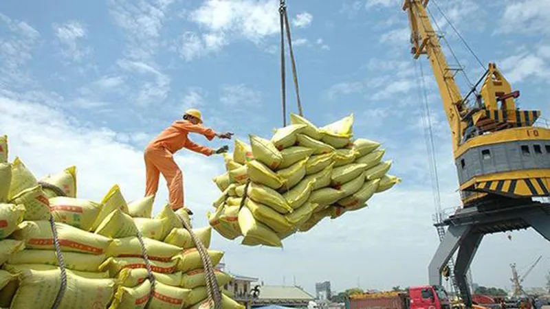 Những lô gạo thơm đầu tiên theo EVFTA vào EU