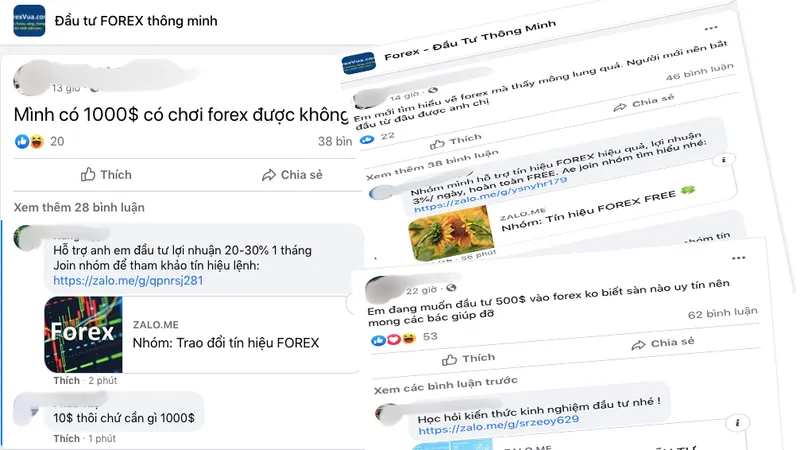 Đầu tư ảo - rủi ro thật