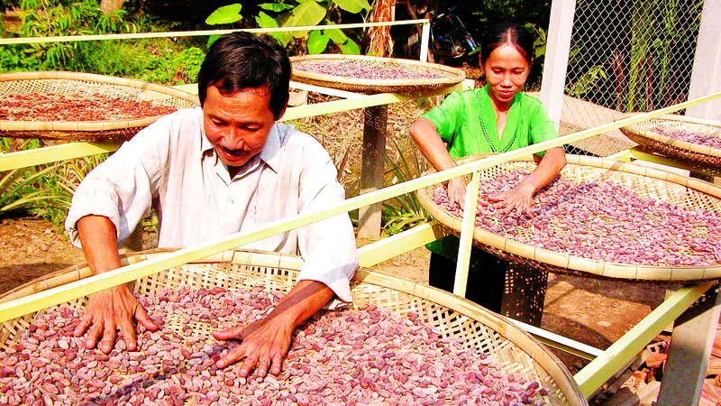 Xuất khẩu nông sản vào thị trường Mỹ: Tận dụng tốt vai trò doanh nghiệp kiều bào