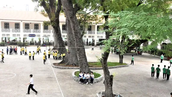 Bệnh thành tích không đến từ giáo viên
