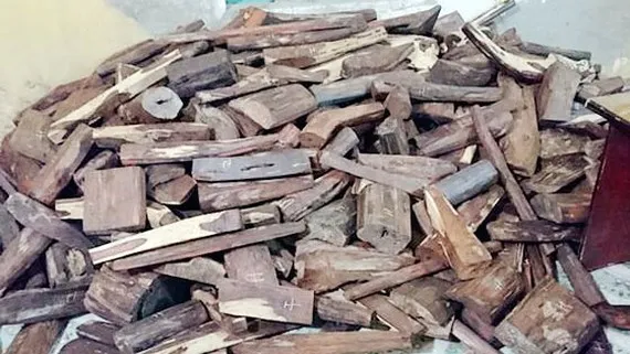 Xe khách chở gần 1 tấn gỗ trắc không rõ nguồn gốc
