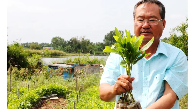 Khởi sắc U Minh