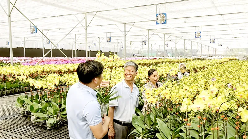 Người trồng hoa cần tiếp sức