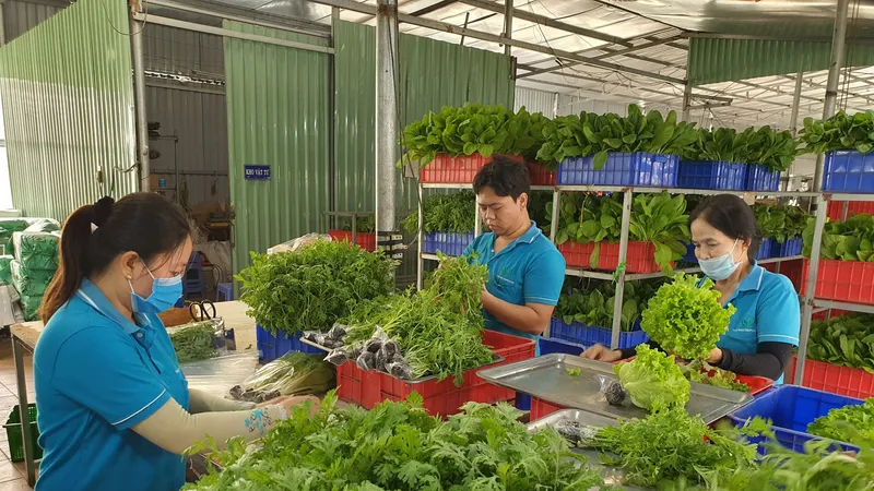 Đầu tư công nghệ để phát triển bền vững