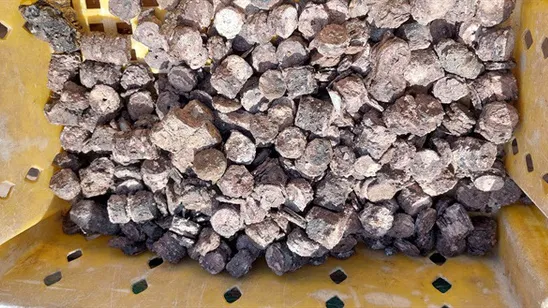 Quảng Bình: Phát hiện 770kg tiền cổ thời Gia Long - Minh Mạng
