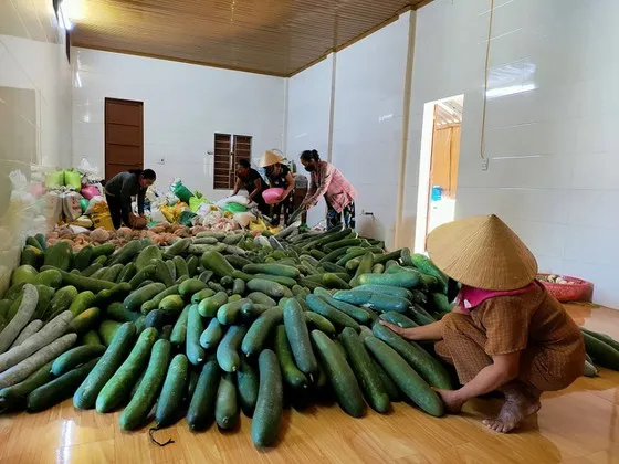 San sẻ lúc TPHCM khó khăn