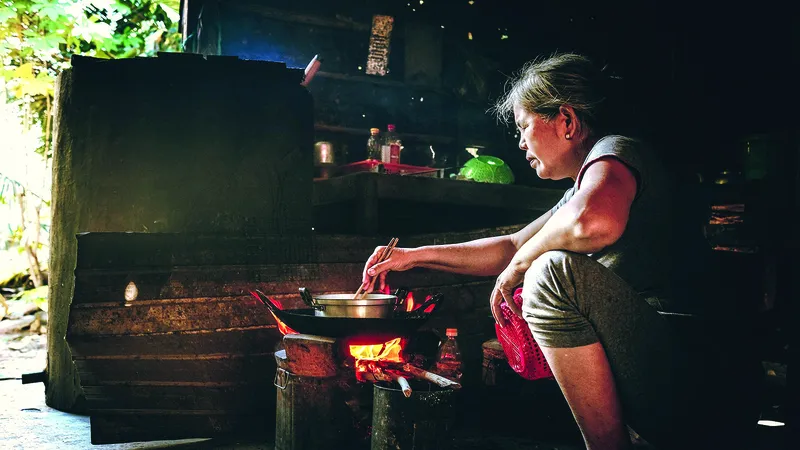 Hương quê nếp nhà