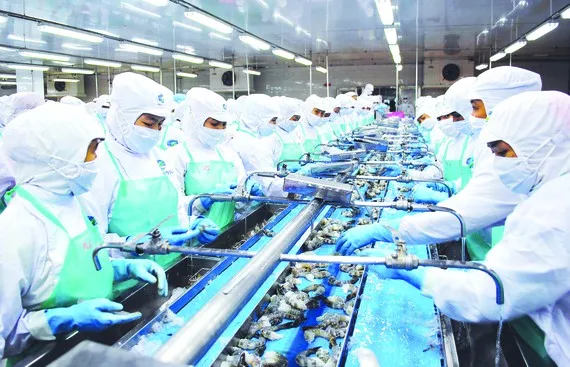 Xuất khẩu tôm sang Mỹ, EU tăng trưởng tốt 