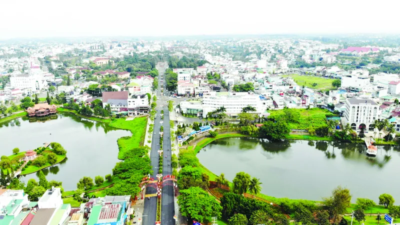 Khát vọng xứ tơ, trà