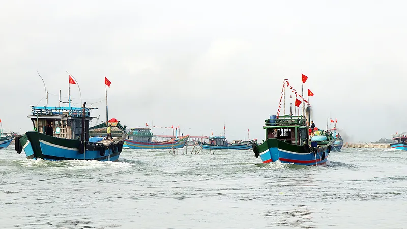 Xuất quân đánh bắt vụ cá Nam