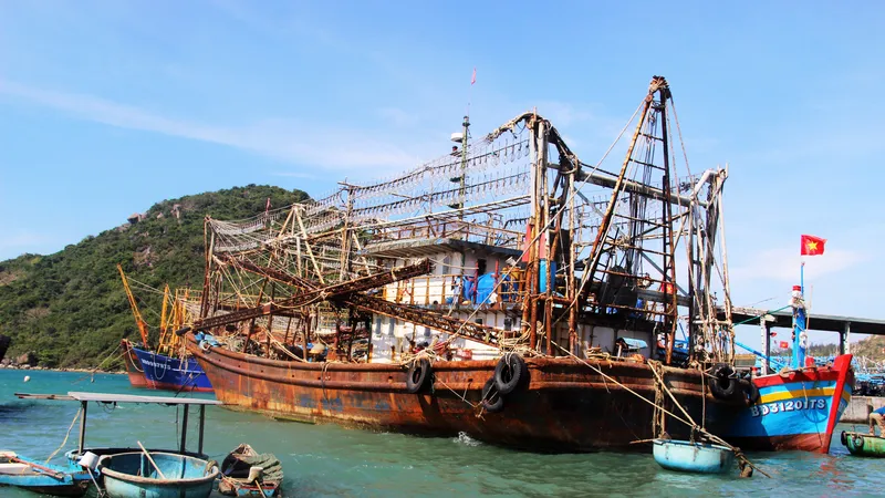 Nhiều chủ tàu vỏ thép 67 lâm cảnh khốn đốn