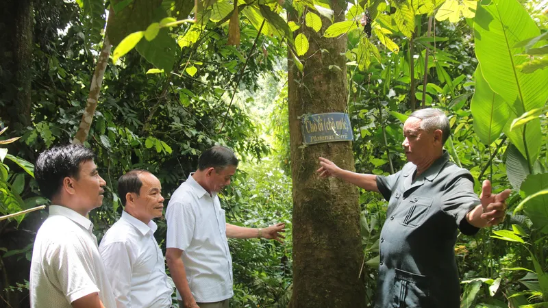 Kỷ niệm 110 năm Ngày sinh đồng chí Võ Chí Công (7-8-1912 - 7-8-2022): Khu rừng bác Năm Công