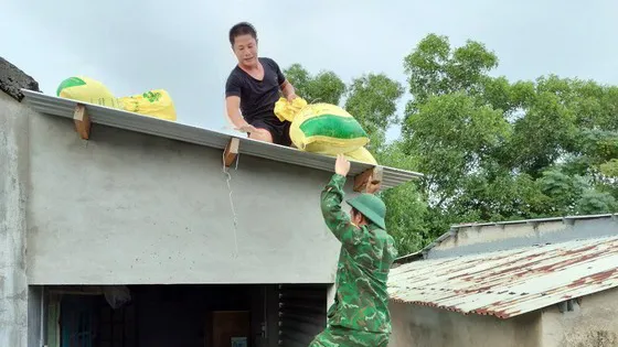 Bão số 4 có xu hướng mạnh thêm trong 24 giờ tới