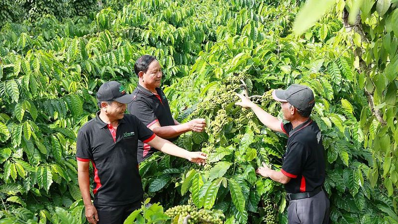 Tạo dựng nền kinh tế phi phát thải