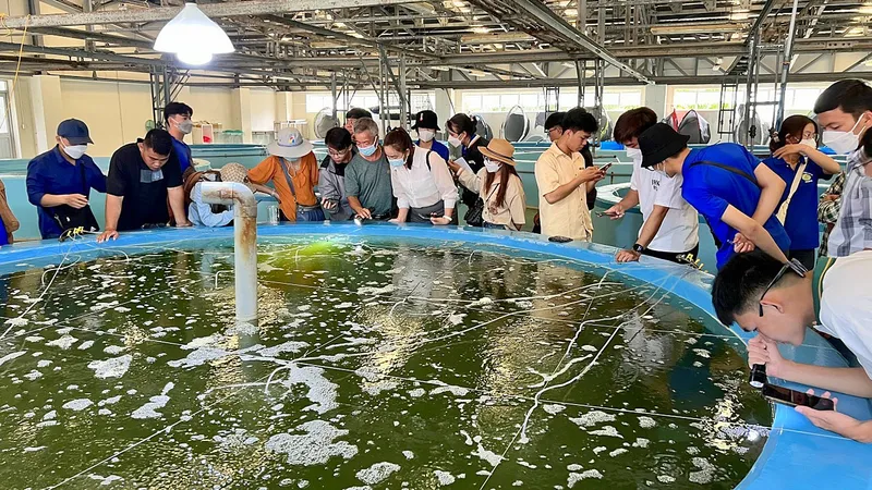 Hàng ngàn sinh viên nguy cơ bị buộc thôi học