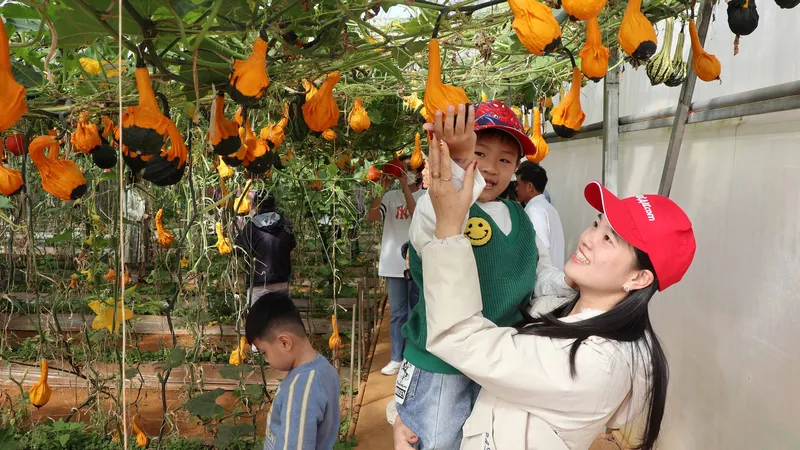Đến Đà Lạt trải nghiệm du lịch canh nông