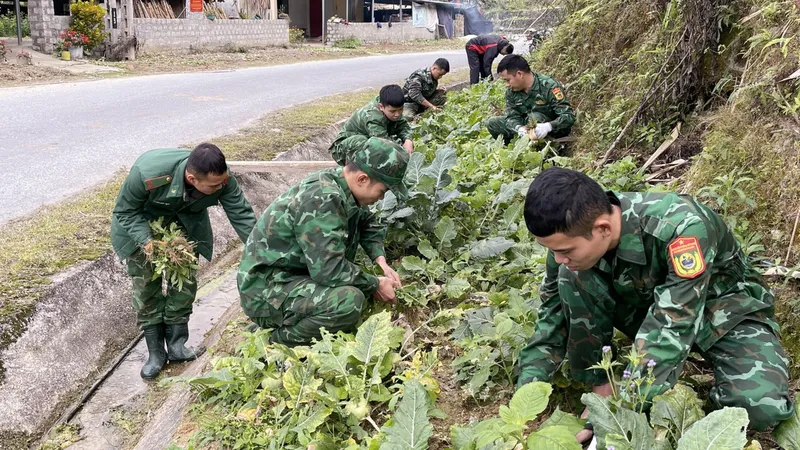 Sức sống miền biên viễn