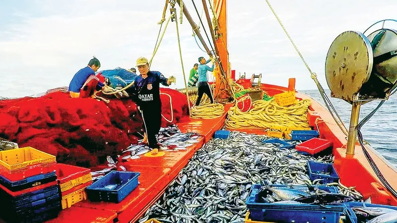 Kế hoạch 180 ngày gỡ “thẻ vàng” thủy sản