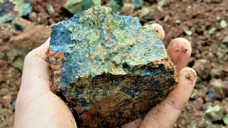 Hướng tới loại bỏ carbon khỏi bầu khí quyển