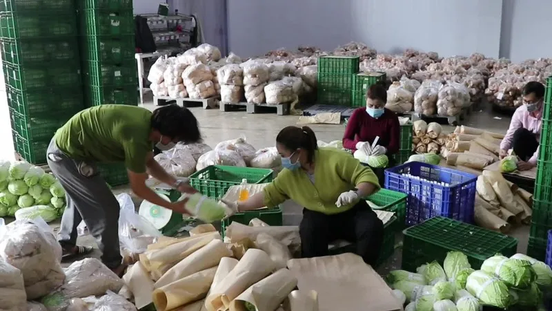 Giá nông sản Đà Lạt giảm