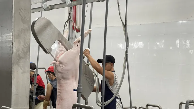 Tháo gỡ khó khăn cho các nhà máy giết mổ gia súc