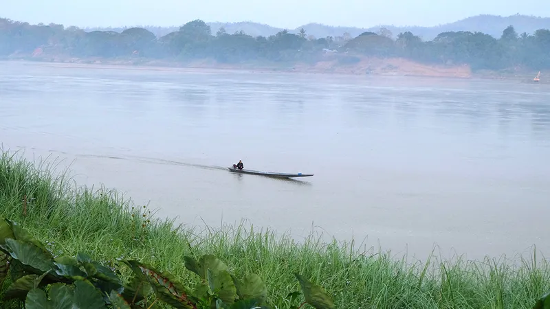 Hoa sóng sông Tiền