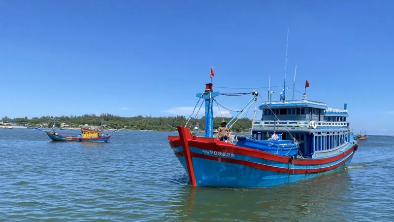 Nguy hiểm từ khu neo đậu tàu thuyền tự phát