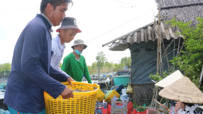 6 tháng đầu năm, GRDP Cà Mau đứng thứ 2 khu vực ĐBSCL và thứ 5 cả nước