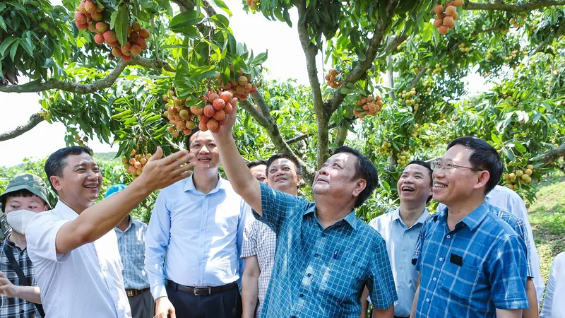 Đổi mới tiếp cận thị trường, tận dụng cơ hội để xuất khẩu nông sản